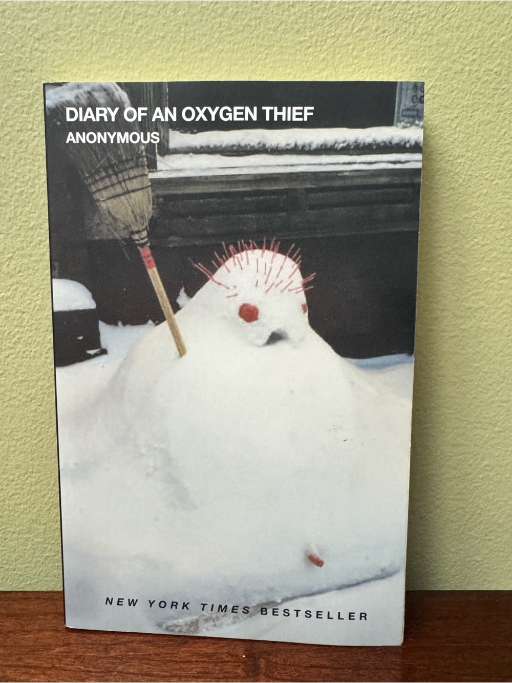 Diary of an Oxygen Thief Paperback Cult Classic Novel by Anonymous